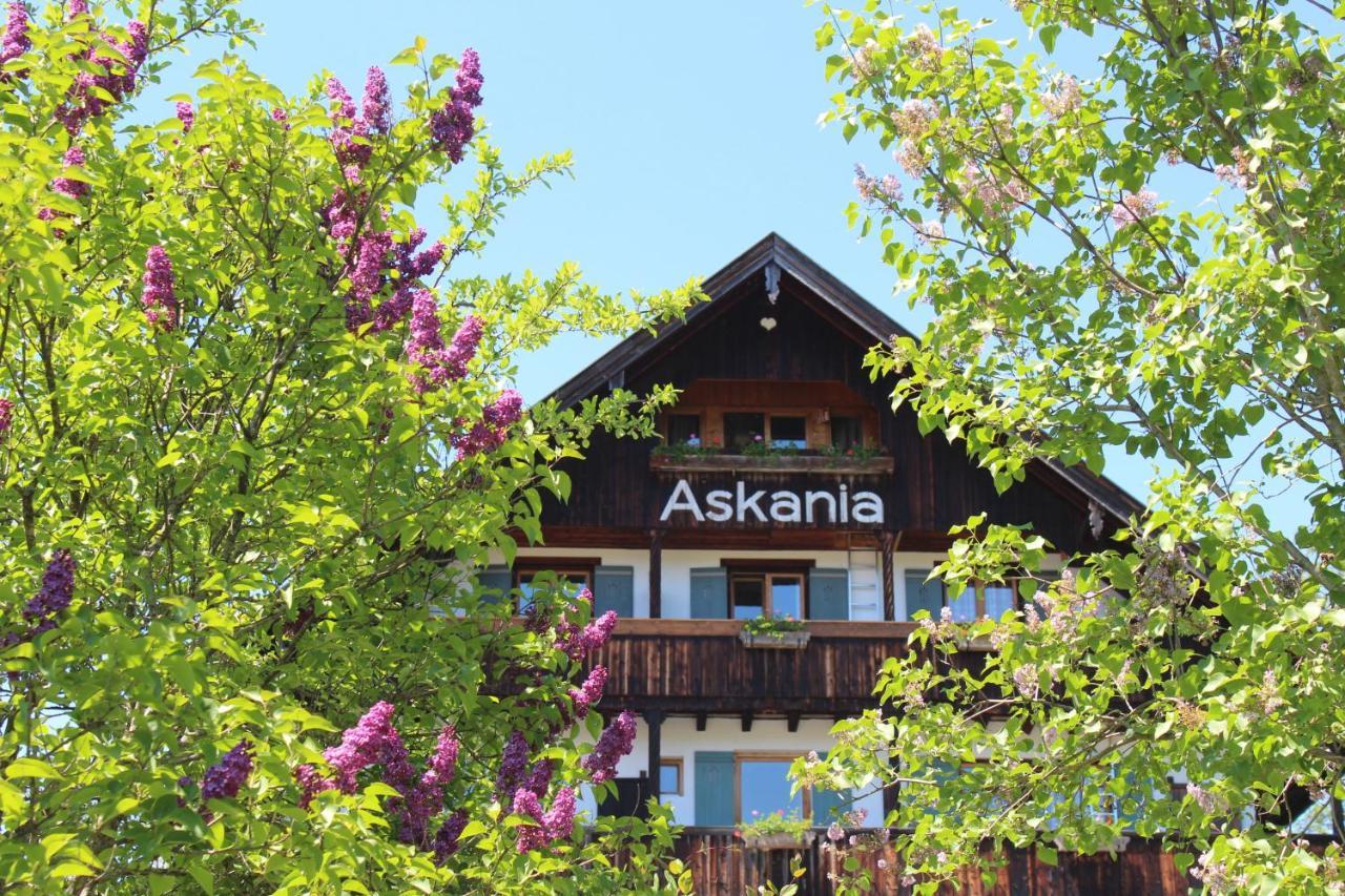 Hotel Askania 1927 Бад-Висзе Экстерьер фото